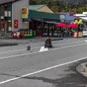 NZL WTC FranzJosef 2018APR30 MainStreet 001  We lobbed up onto the main street of   Franz Josef   to find an Asian woman sitting in the middle of the road trying to get a selfie with vehicles coming within inches of hitting her. : - DATE, - PLACES, - TRIPS, 10's, 2018, 2018 - Kiwi Kruisin, April, Day, Franz Josef Glacier, Main Street, Monday, Month, New Zealand, Oceania, West Coast, Year